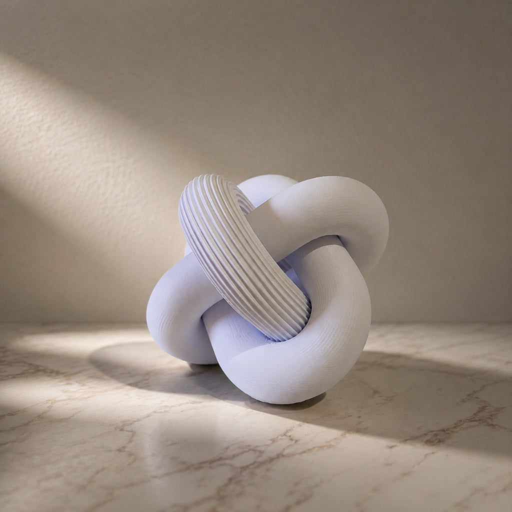 Escultura Elo Nara Zahara® – Forma Orgânica e Presença