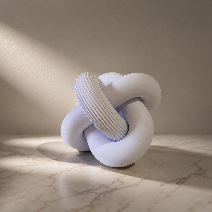 Escultura Elo Nara Zahara® – Forma Orgânica e Presença